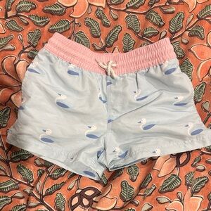 The Beaufort Bonnet Company Pink and Light Blue Swim Trunks